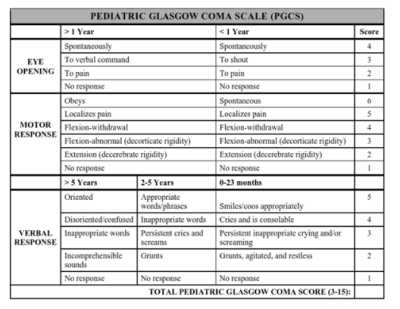 paeds coma scale.PNG