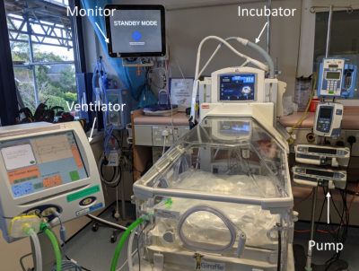 Incubator photo.PNG